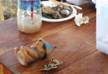 மௌனம் கலைந்த மரணங்கள்!