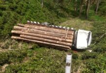 மரக்குற்றிகளுடன் 25 அடி பள்ளத்தில் பாய்ந்த பார ஊர்தி!