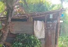 புப்புரஸ்ஸையில் ஆடுகள் திருட்டு!