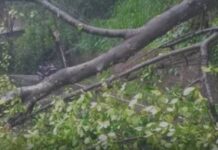 உனம்புவ பிரதேசத்திற்கு செல்லும் பாதையில் போக்குவரத்து பாதிப்பு – பல பகுதிகளில் மின்சார தடை