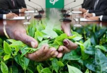 தோட்டத் தொழிலாளர்களுக்கான சம்பள உயர்வு – நாளை ஒப்பந்தம் கைச்சாத்து!