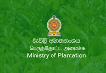 தோட்டத் தொழிலாளர்களின் சம்பளத்தை 1750 ரூபாவாக அதிகரிக்கும் ஒப்பந்தம் கைசாத்து!