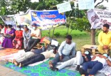 இன்றும் வலுவான ஆர்ப்பாட்டம் – அபிவிருத்தி உத்தியோகத்தர்கள் தீர்மானம்!