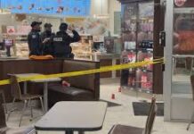 கனடாவில் பாடசாலையில் துப்பாக்கிச் சூடு: 10 பேர் பலி!