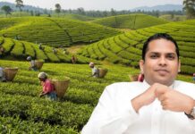 தோட்டத் தொழிலாளர் சம்பள உயர்வு வெறும் ‘பொய் நாடகம்!