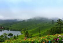 நுவரெலியாவிற்கு பயணம் செய்வோருக்கு விடுக்கப்பட்டுள்ள அறிவுறுத்தல்